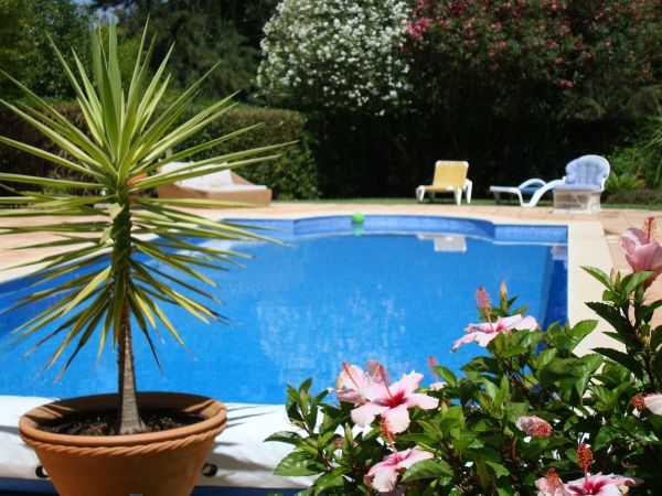 Cost of Pool Terrace Renovation in Pasadena